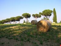 parco di veio