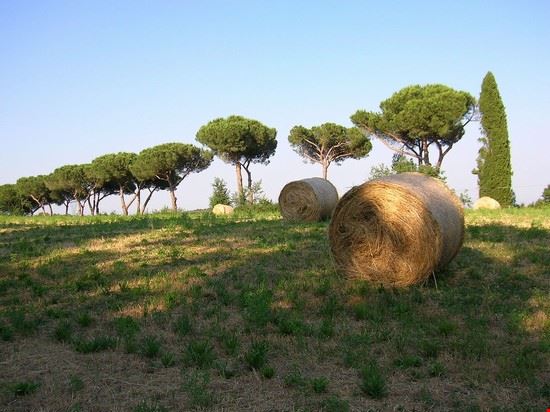  Campagnano di Roma Patafisik - CC BY 3.0 Patafisik