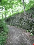 forte fuentes