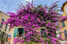 Sirmione