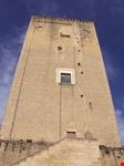 torre federiciana