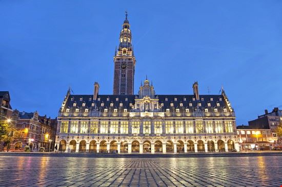  Leuven Sergey Dzyuba - Shutterstock.com Sergey Dzyuba
