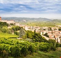 Vino a Soave Vino a Soave