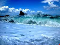 Scoglio dell'ulivo