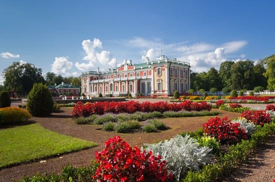  Tallinn gumbao - Shutterstock.com gumbao