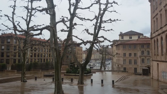 piazza