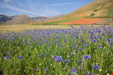 Castelluccio