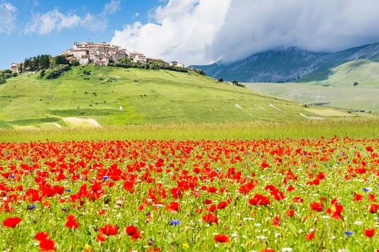 Altipiano di Castelluccio Norcia alexandro900 - Shutterstock.com alexandro900