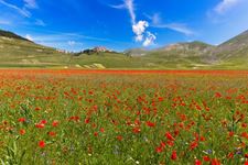 Castelluccio
