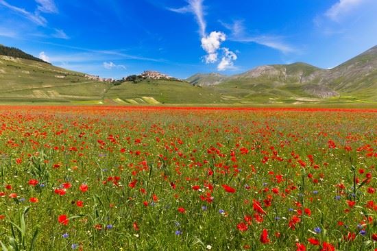 Altipiano di Castelluccio Norcia Frank Fischbach - Shutterstock.com Frank Fischbach