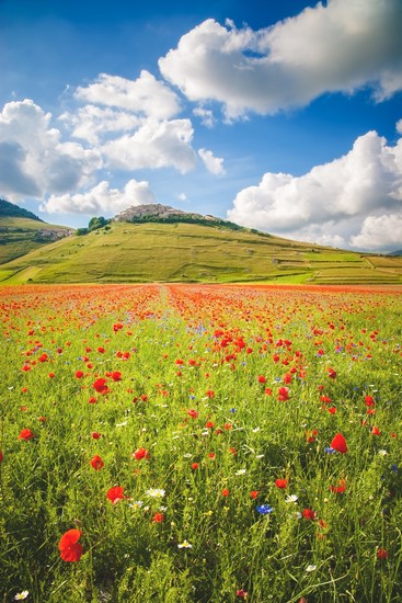 Castelluccio