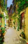 cannes mougins