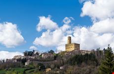 arezzo poppi