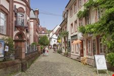 friburgo friburgo