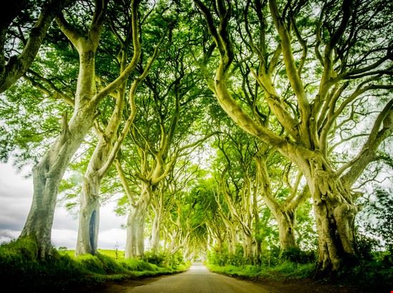  Ballymoney AlexFeder - Shutterstock.com AlexFeder
