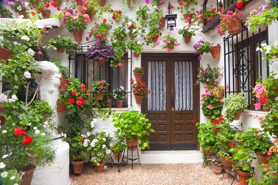  Córdoba Taiga - Shutterstock.com Taiga