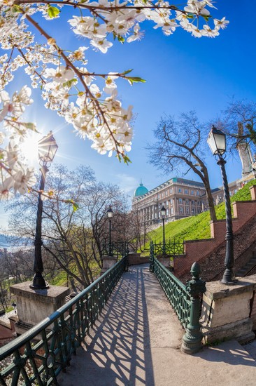 Budapest