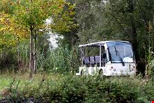 Bus elettrico per escursioni