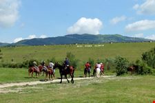 Passeggiate a cavallo