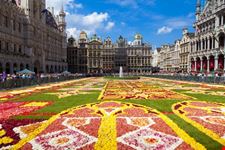 bruxelles tappeto di fiori