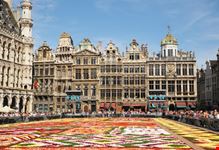 bruxelles tappeto di fiori