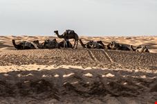 Deserto