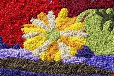 Infiorata