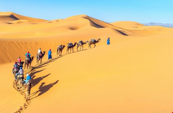 Deserto - Vixit - Vixit - Shutterstock.com
