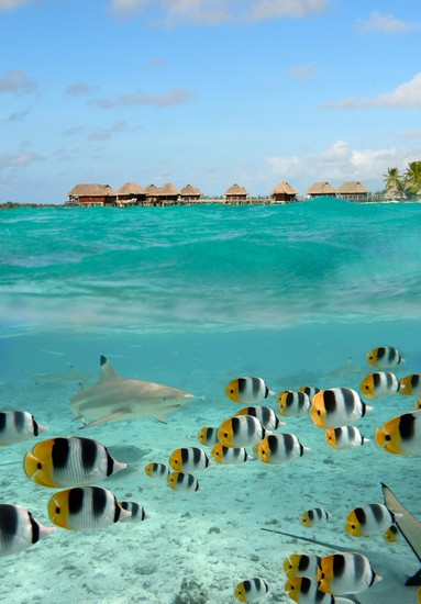 Bora Bora