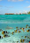Bora Bora