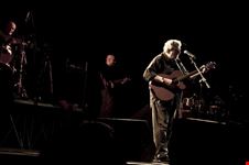 Guccini