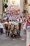 pamplona tori pamplona