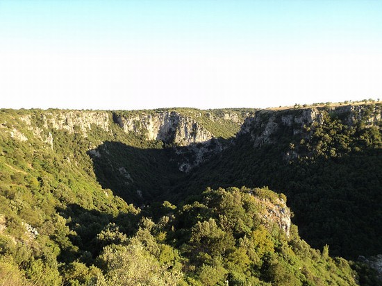 Gravina