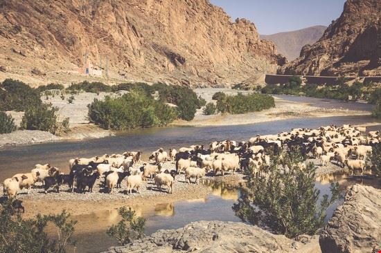  Agadir Lukasz Janyst - Shutterstock.com Lukasz Janyst