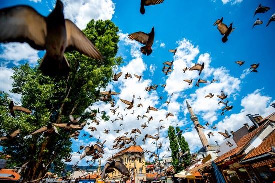  Sarajevo RossHelen - Shutterstock.com RossHelen