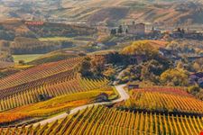 Langhe