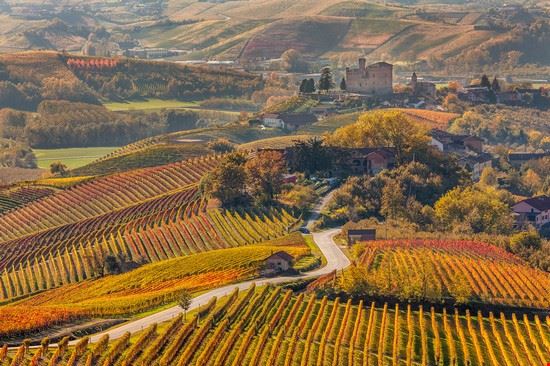 Langhe La Morra Rostislav Glinsky - Shutterstock.com Rostislav Glinsky