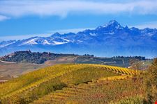 Langhe