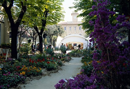 Cattolica in fiore