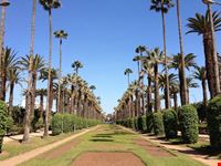 parc de la ligue arabe - casablanca