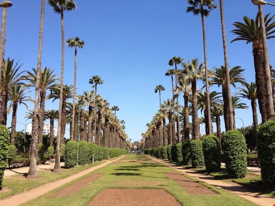  Casablanca Wikimedia Commons - Wikimedia Commons Wikimedia Commons