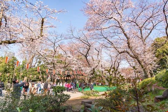 Parco di Ueno Tokyo Twenty-two hours / Shutterstock.com Twenty-two hours / Shutterstock.com