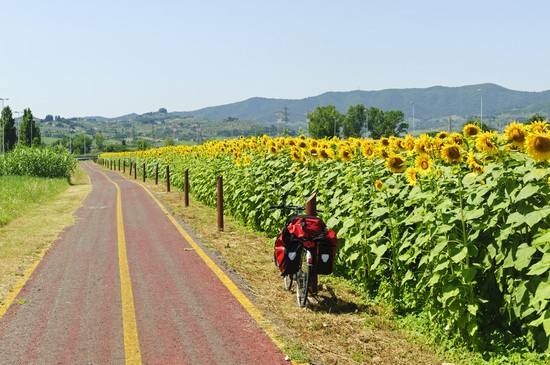 Dintorni di Poggio a Caiano