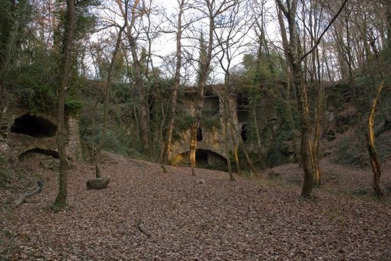 Mulinaccio