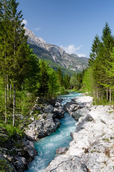 Fiume Isonzo