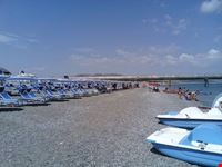 Lido Calimero