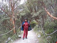huaraz llanganuco walking trail