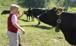 Alpe Cimbra