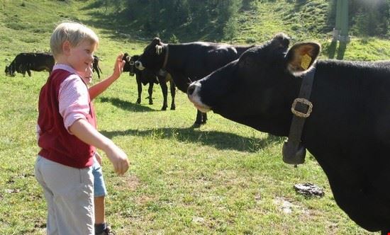 Alpe Cimbra Alpe Cimbra APT Comano  APT Comano 