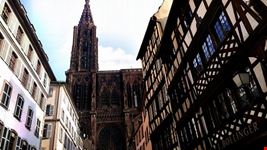 cattedrale di notre dame strasburgo
